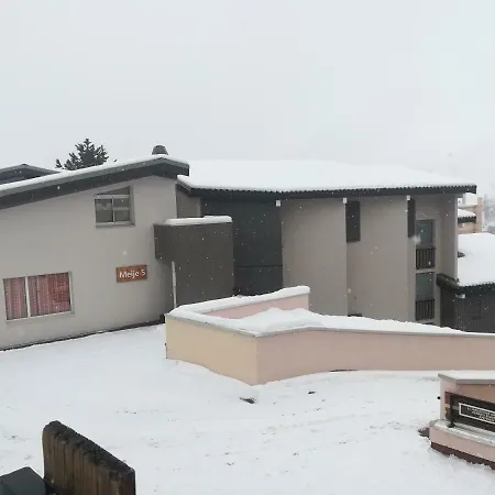 Lameije 5 *